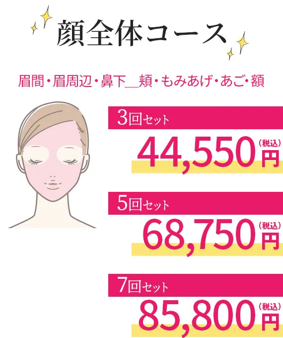 顔全体コース